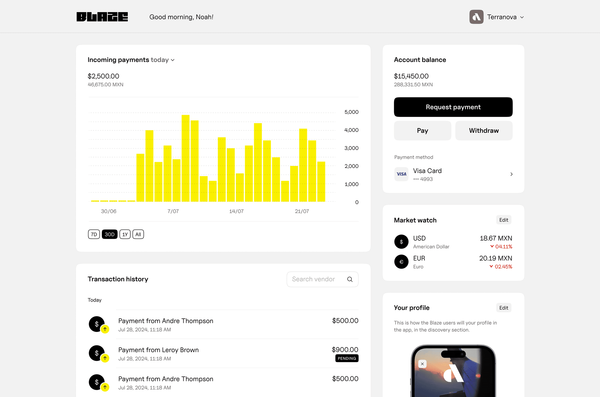 Blaze Global Payments - Business Dashboard